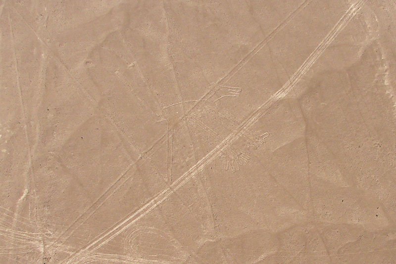 Nazca Lines Theories: An Unsolved Archaeological Enigma in Peru