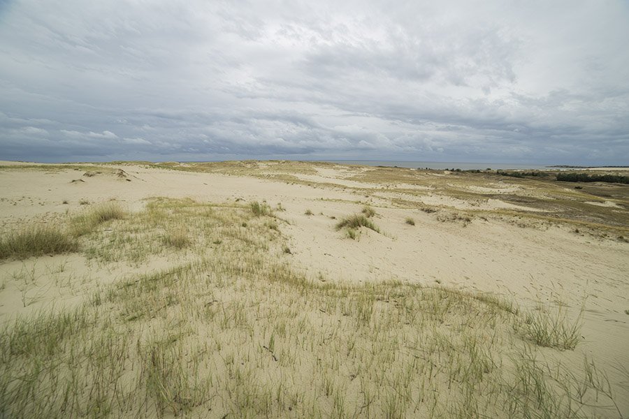 Curonian Spit, Lithuania: Sand Dunes, Baltic Beach & Russian Border