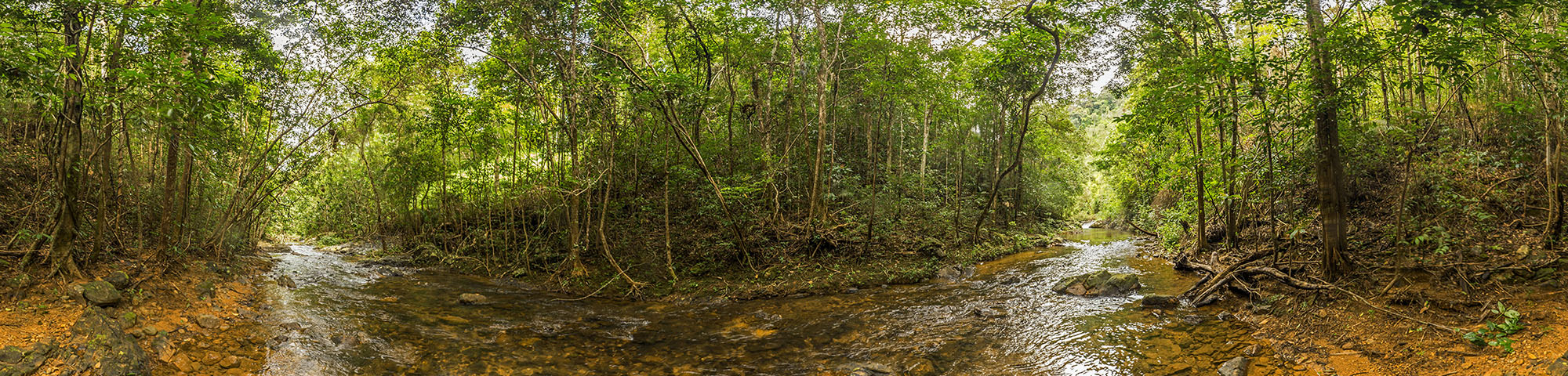 Koh Chang Jungle Trekking Crossing Thailand S Third Largest Island