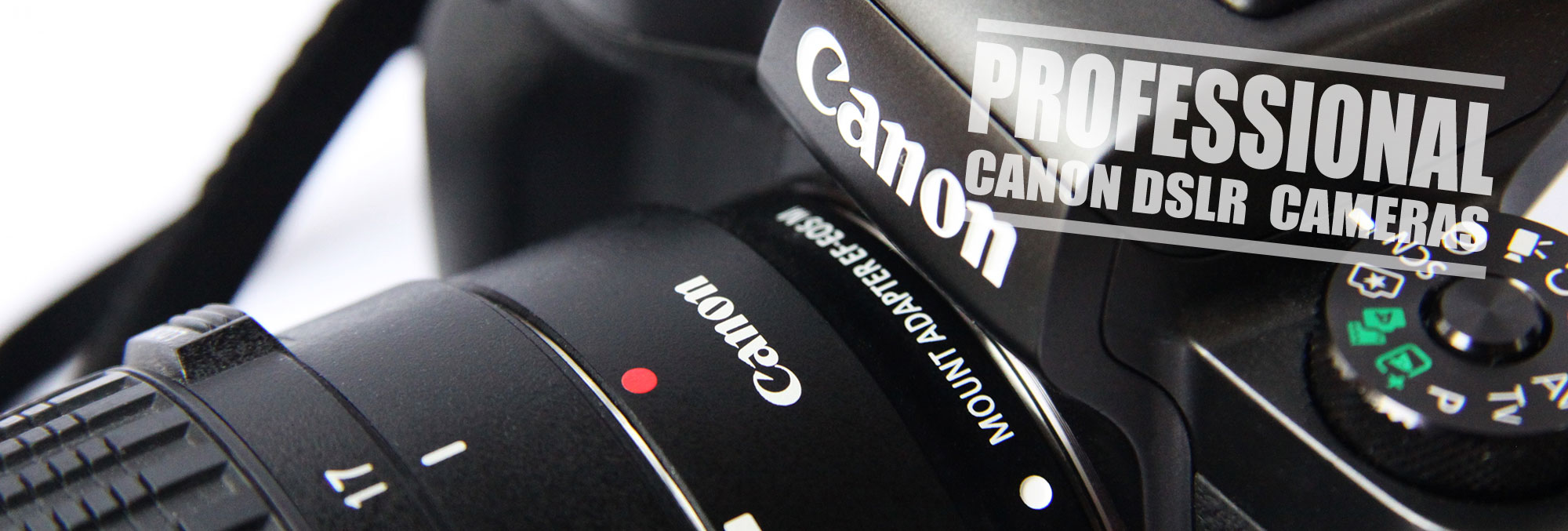 best canon digital professional cameras