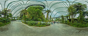 Gardens by The Bay, Cloud Forest Dome
