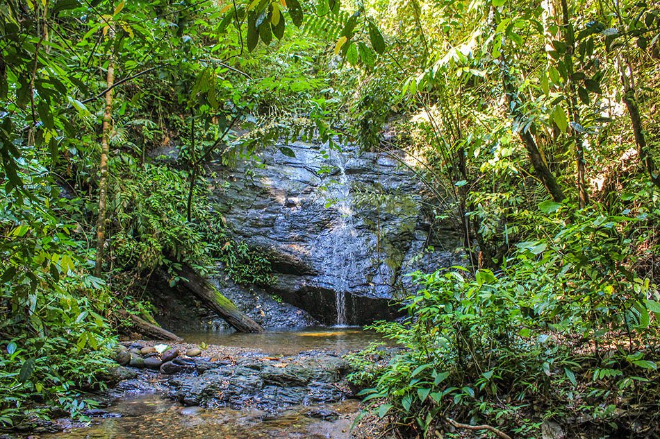 Ulu Temburong National Park - The Green Jewel of Brunei